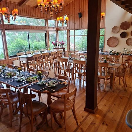 Hotel Elun, La Mejor Vista Frutillar Εξωτερικό φωτογραφία